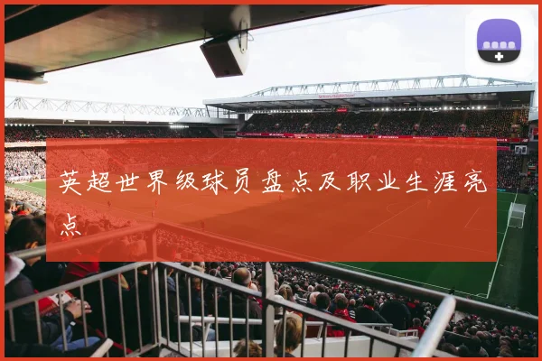 英超世界级球员盘点及职业生涯亮点