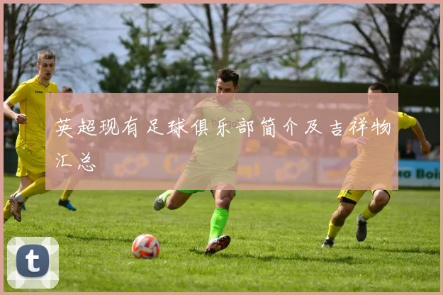 英超现有足球俱乐部简介及吉祥物汇总