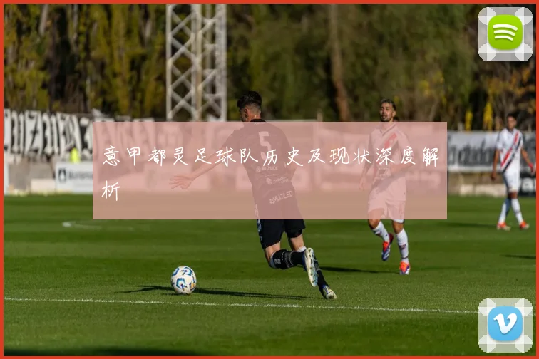 意甲都灵足球队历史及现状深度解析