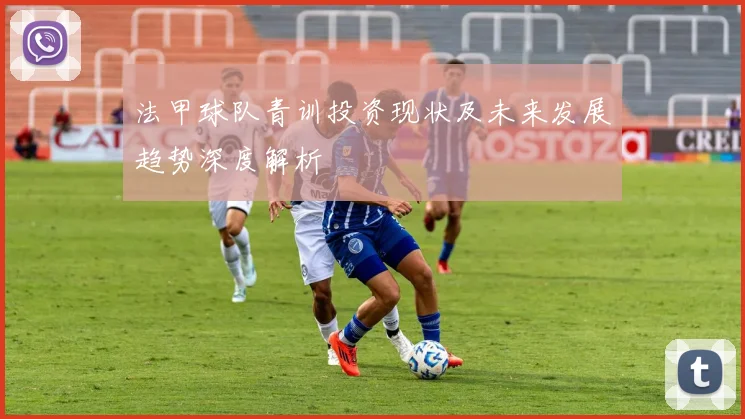 法甲球队青训投资现状及未来发展趋势深度解析